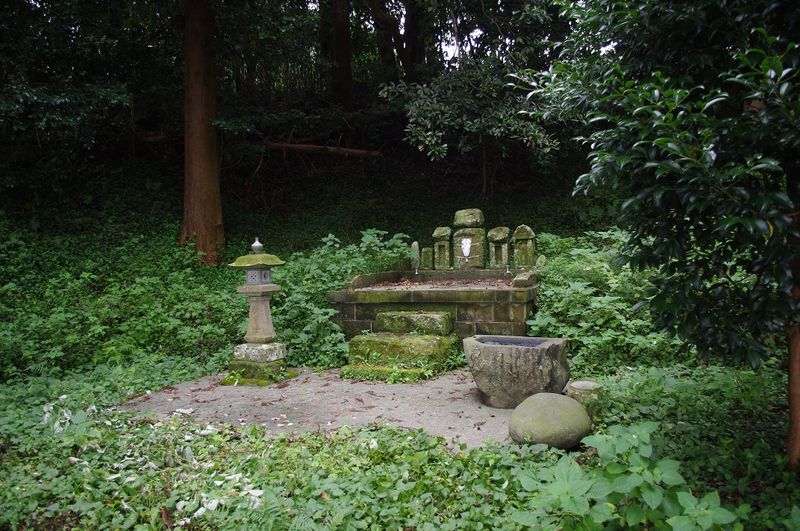 IMGP2779